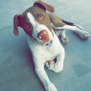 Meet your Posher, Gabe